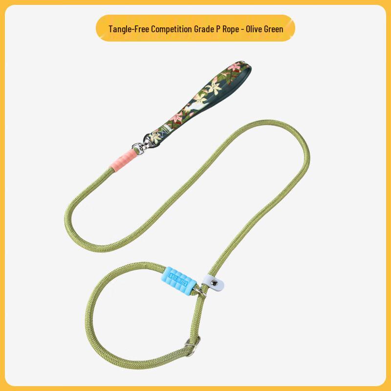 Qi e Dog Leash