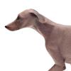 Simulation Model Collectible Puppy Sculpture Realistic Dog Figurine Azawakh Dog Statue for Shelf Hotel Party Fireplace Farmhouse