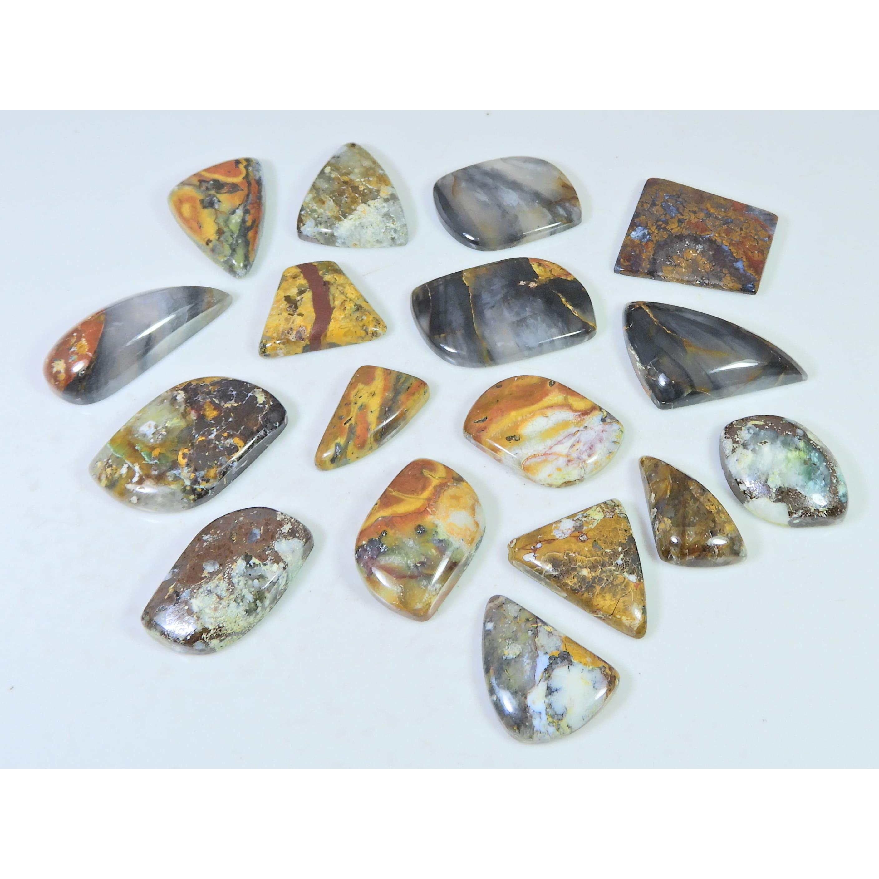 295Cts. Natural Forest Agate Fancy Cabochon Loose Gemstone 17 Pcs Lot C-1953