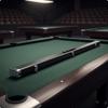 Billiard Stick Carrying Case Sturdy Pool Padded