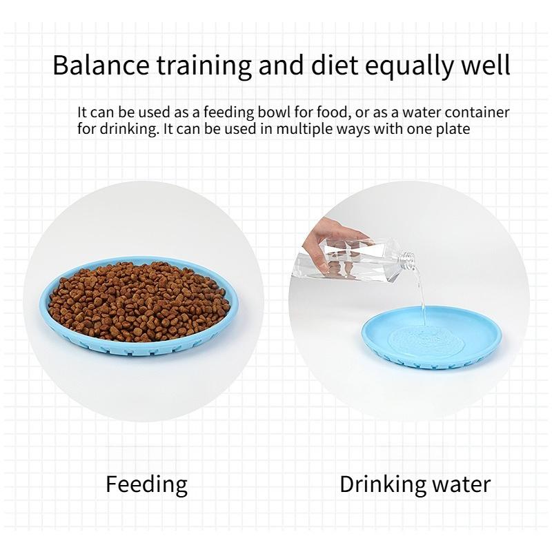 Pet TPR Feeding Training Dual-purpose Frisbee, Durable for Chewing and Grinding Teeth, Outdoor Interactive Training Dog Supplies