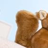 Cute Simulated Plush Toy Squirrel Doll Cartoon Big Tail Doll Grab Machine Gift