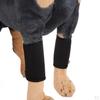 1 Pair Dog Leg Support Brace Canine Frongt Rear Hock , Compression Wrap / Injuries and Sprains Help