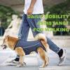 Dog Hindleg Assist with Pet Senior Dog Disabled Dog Elderly Dog Inability Rehabilitation Aid Training Belt