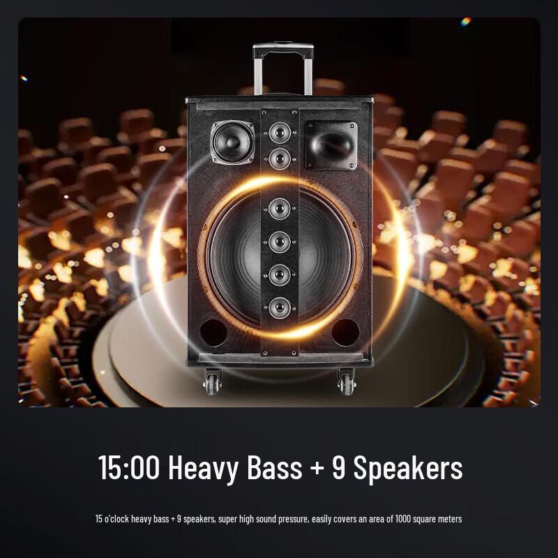 SAST WD-15 15-inch Portable Bluetooth Karaoke Speaker CN plug (adapter included)