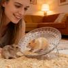 Hamster Running Wheel Multi-functional Small Animals Exercise Toy Hamster Exercise Wheels For Ferrets Squirrels Chinchillas