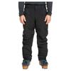 Quiksilver Pants Boundry