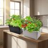 6 Holes Soil-Free Planting Box Plastic Nursery Pots Versatile Cultivation Box  Indoor Gardening
