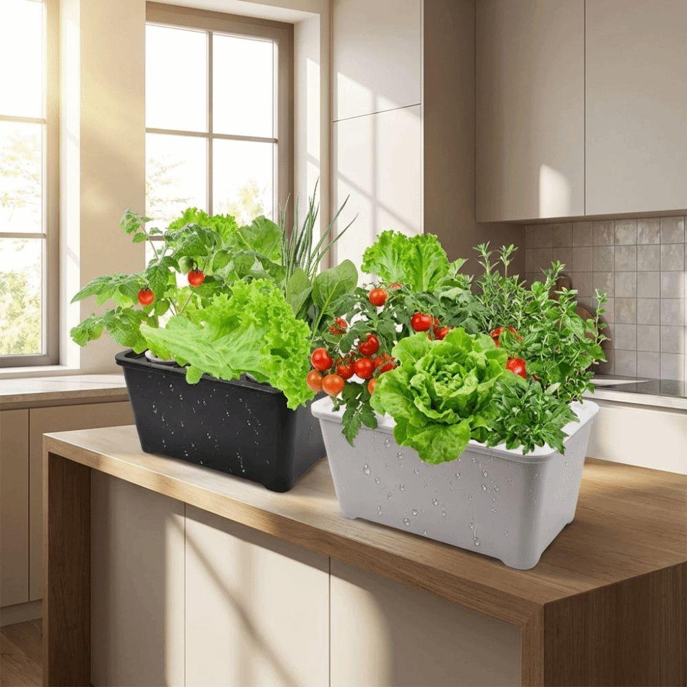 6 Holes Soil-Free Planting Box Plastic Nursery Pots Versatile Cultivation Box  Indoor Gardening