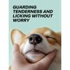 Nose Gentle Cleaning Moisturizing Finger Wipes For Dogs Cats Disposable Pet Wipes For Nasal Hygiene Dryness Relief