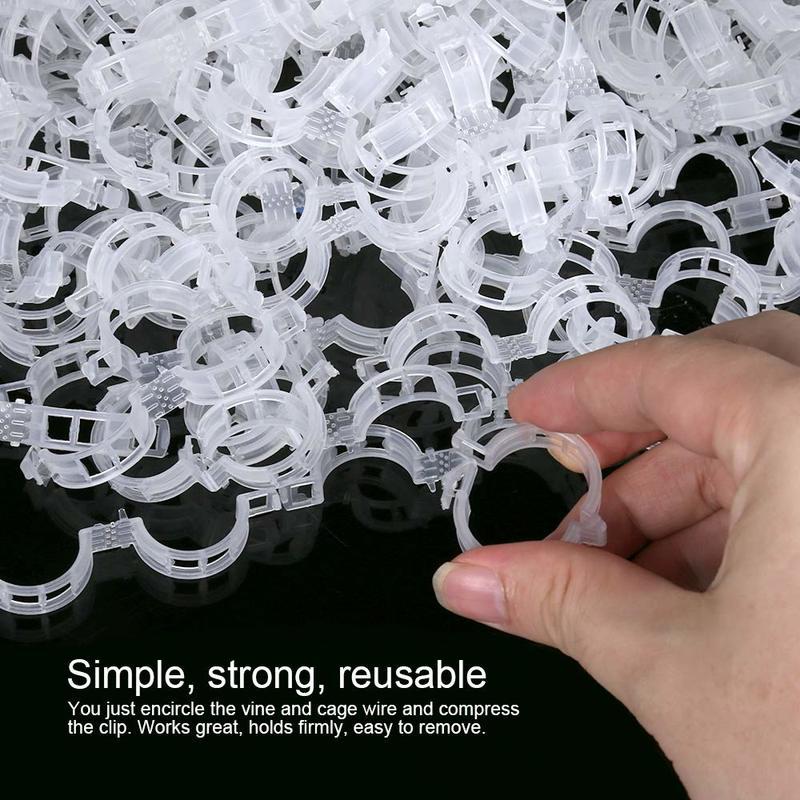Agrafe de sustinere a plantelor pentru gradina rosii Legume Suport plante vita de vie vertical si face plante agrafe sfoara pentru vita de vie Fasole Legume Fructe