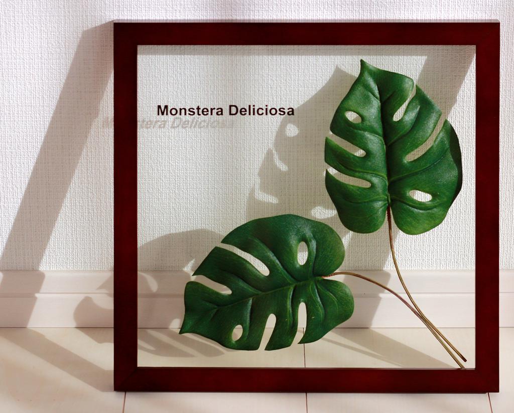 Handmade Japanese Leaf Panel, Monstera Deliciosa 2, Made with Ayu Straw, Includes Display Instructions. Wall-Mounted, Framed Leaf Panel, Art Panel, Li