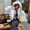 Ladies Down Padded Jacket Lapel Fashion Joker Winter Coat Temperament Korean Women Outwear