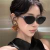 3pcs Popular New Cat Eye Sun Glasses Women Vintage  Brand Designer Casual Style Sunglasses Female Travel Outdoor Eyewear Uv400
