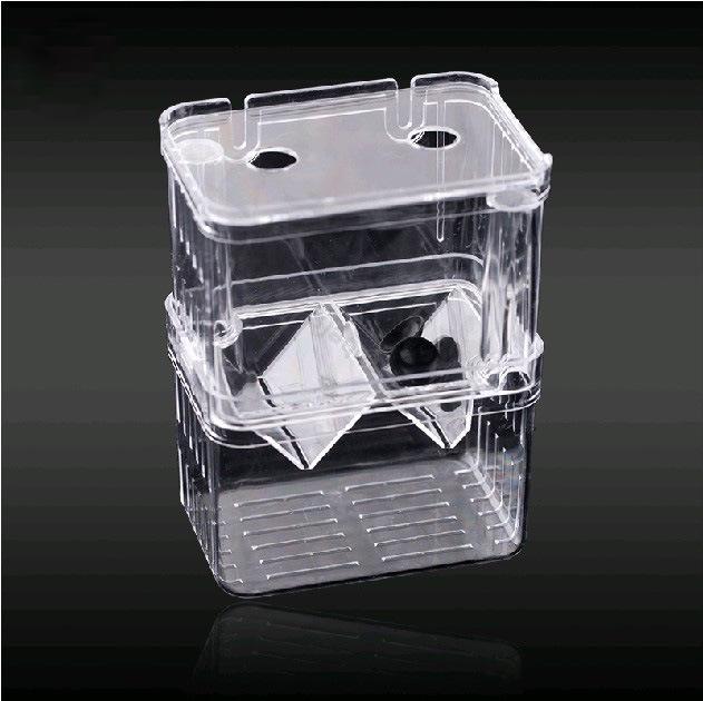 Acrylic Fish Breeding & Isolation Box for Guppies