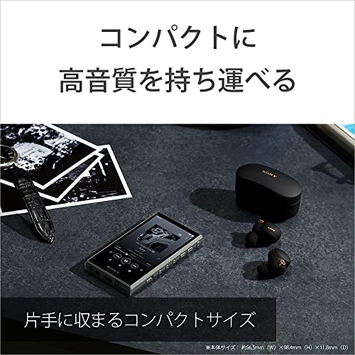 Sony Walkman NW-A307 64GB A300 Series MP3 Player Touch Panel Wireless Hi-Res Audio Bluetooth Android Streaming LDAC aptX HD MicroSD Support Black