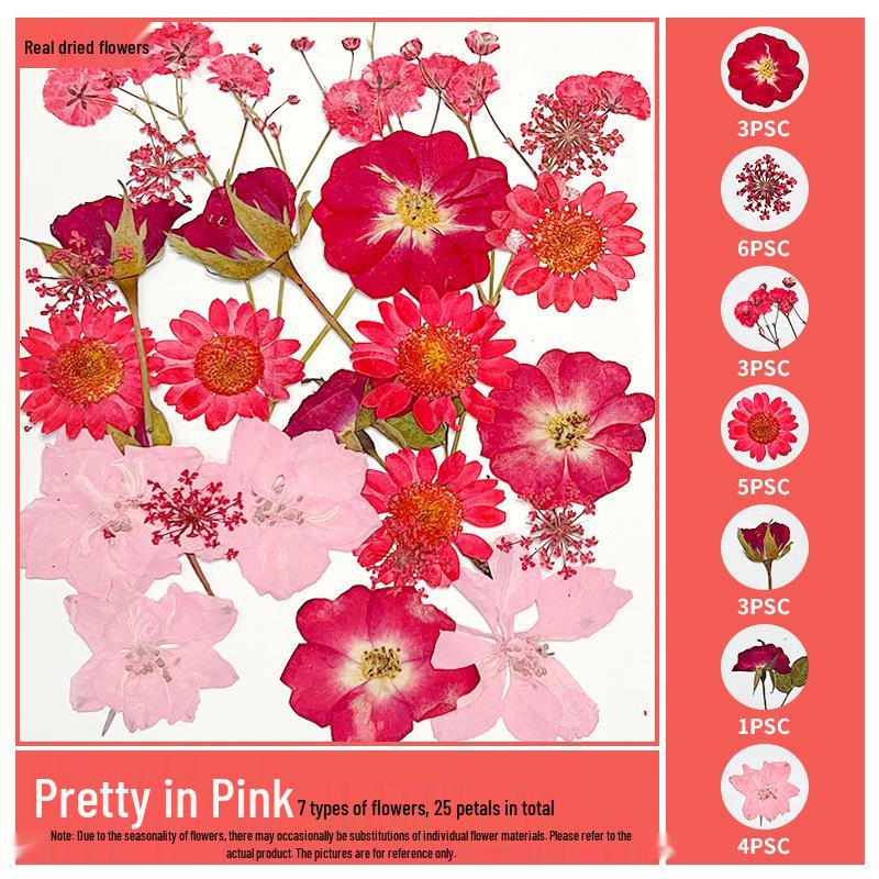 Handmade Resin Pressed Flower Bookmark DIY Kit: Transparent Specimen Stickers & Dried Flowers for Students