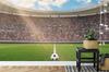 Photomural Soccer Stadium Structural Vinyl 450x300