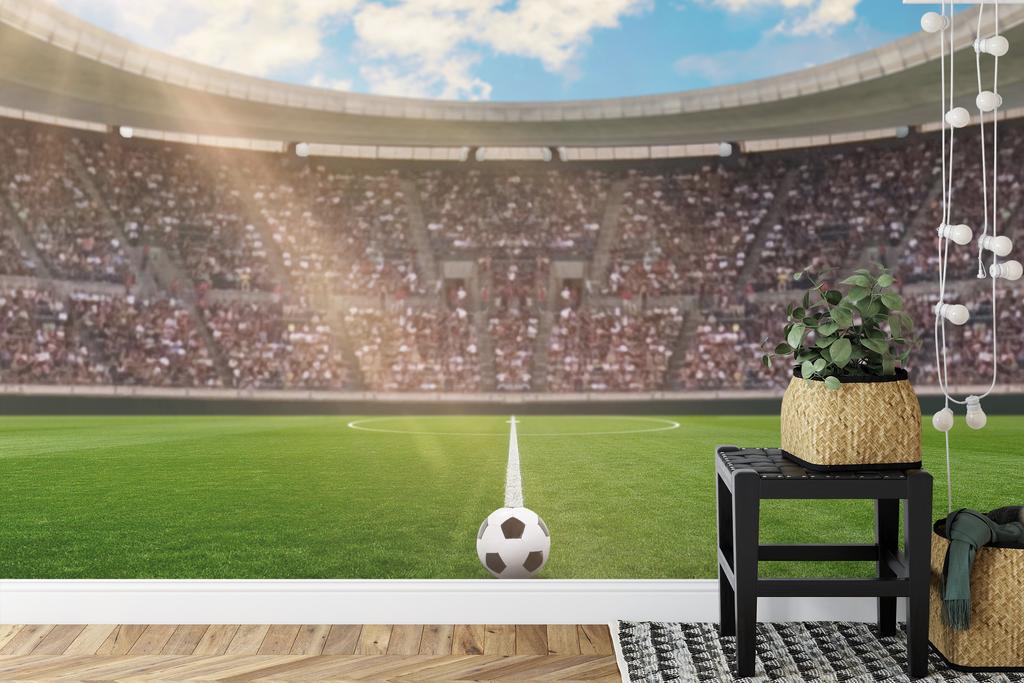 Photomural Soccer Stadium Structural Vinyl 450x300
