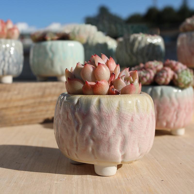 NEW Ceramic Flower Pot Creative Design Ice Cracked Glaze Succulent Pot Planter Small Flowerpot Home Hotel Ornament Decoration