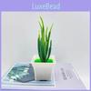 Artificial Succulent Plant Miniature Bonsai With Plastic Material For Home Decor Display
