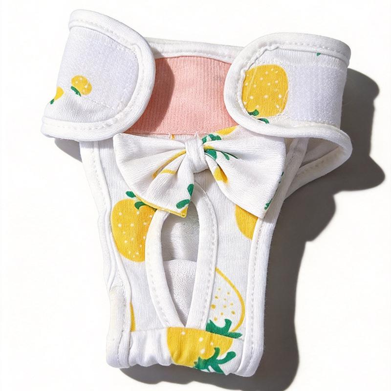 Hygienické kalhotky pro feny - Prevence obtěžování a úniku. Menstruační kalhotky Teddy - pro psy. Menstruační kalhotky - pro psy. Bezpečné a hygienické kalhotky pro psy.