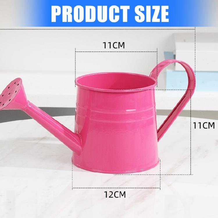 Kovová konvička Malá zahradní konvička s pohodlnou rukojetí Dlouhá hubice Konvička na zalévání pro vnitřní i venkovní použití