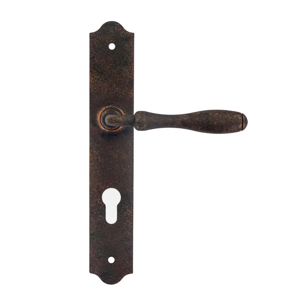BRISTOL AGED door handle with a plate for a 72mm insert