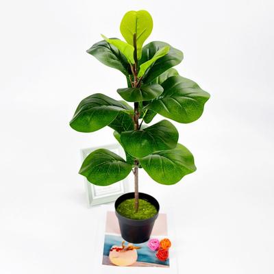 Large Artificial Fiddle Leaves Fig Tree Plastic Real Touch Fake Ficus Tree Delicate Vibrant Artificial Violin Tree