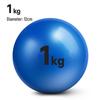 Basketball Training Soft Weighted Sand Ball