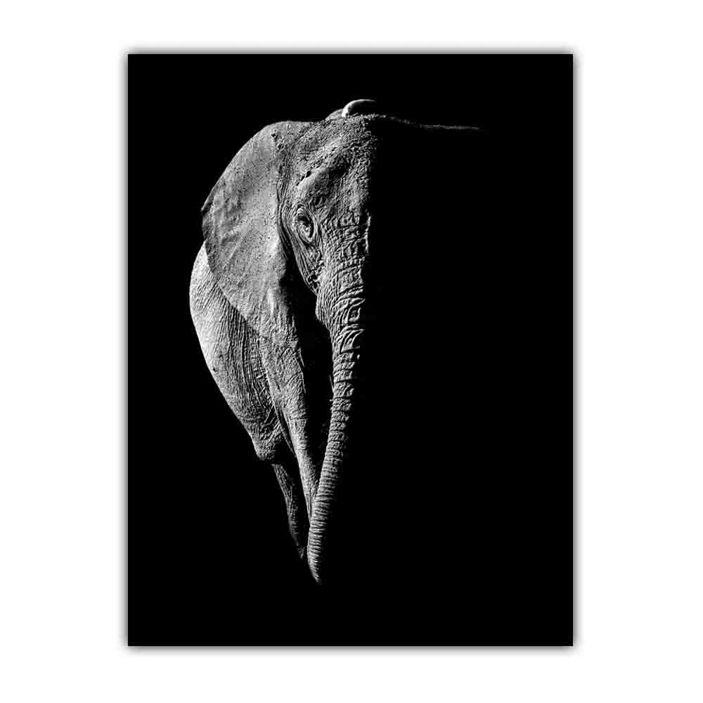 Animal Elephant Black and White Print Art Canvas Poster For Living Room Decoration Home Wall Picture