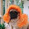 Perucas para Animais de Estimação Cabelo Cacheado Grande Onda Acessório para Gatos e Cães Natal Halloween Tema Juiz Adereço de Cabeça Suprimentos para Animais de Estimação