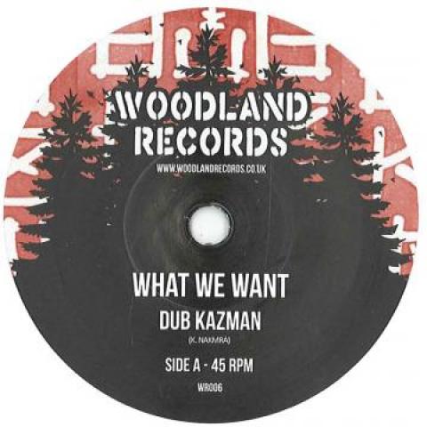 7inch Record DUB KAZMAN - What We Want / What We Need WR006 Woodland Record 2018 UK Reggae, Ska & Dub