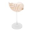 Conch Shell Wine Glass Elegant Unique Creative Drinking Goblet Cocktail Drinks Cup for Wedding Party Bar