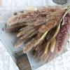 Nordic Style Mixed Dried Flower Bouquets with Reeds, Dusters, Golden Balls, and Lagurus Ornaments for Home Decor.