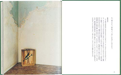 Plants, Trees, Birds and Bird Patterns (Fukuinkan Paperback)