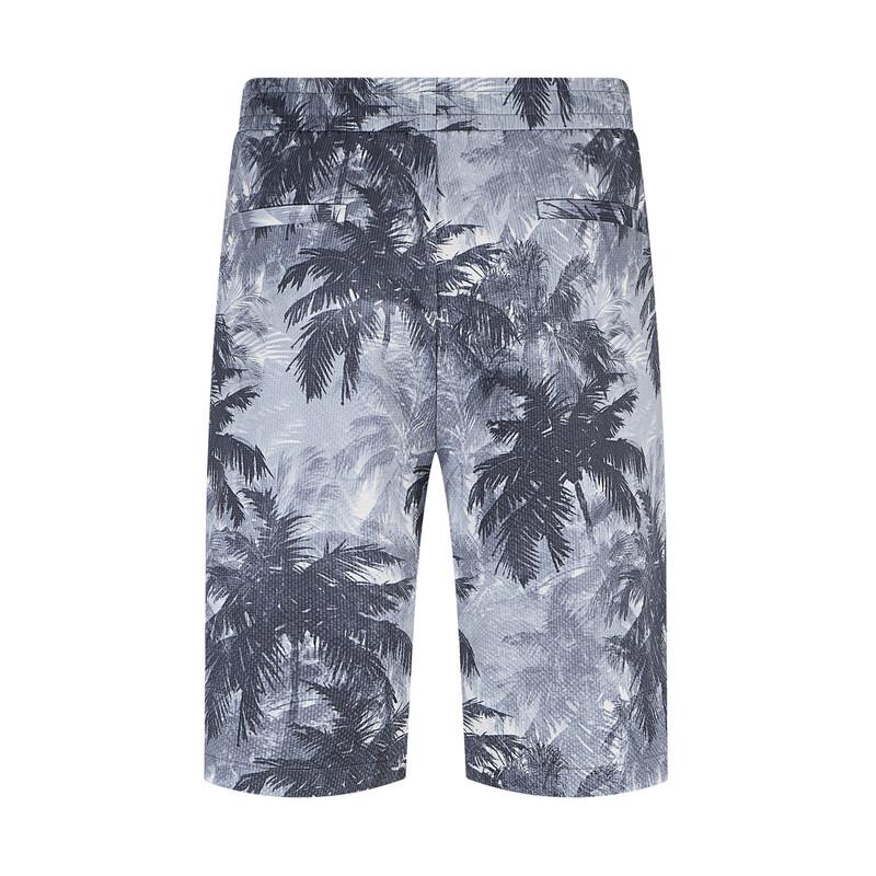 Qipai Men's Resort Series Summer Coconut Print Straight Shorts
