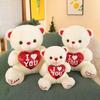 Huggable Heart Bear Plush: Luminous Sequin Toy with Music – Perfect Sleep Companion & Gift