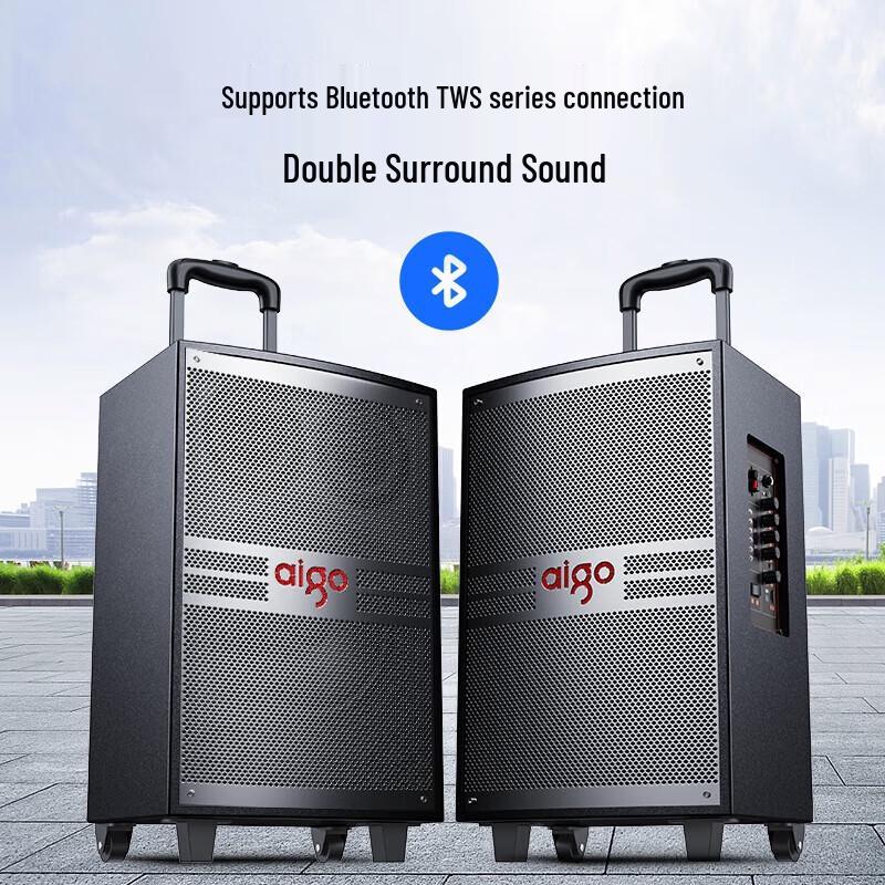 Aigo S312 12-inch Portable PA Speaker