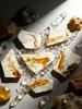 Paleontological fish fossils for teaching children natural sciences, Random size