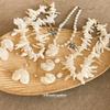 Bohemian shell pearl necklace earrings set, new holiday style niche design jewelry women