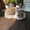 Sleeping Realistic Cat Plush Fake Fur Animal Toy Home Decor Photography Props