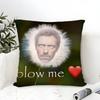 Funny house rat meme Pillow Case linen pillow case sofa home decor cushion cover cushion cove