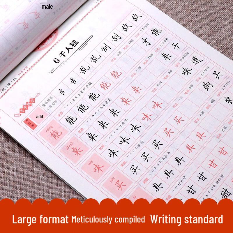 Student Curriculum-Aligned Handwriting Practice Copybooks