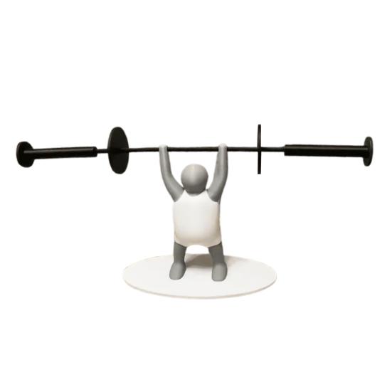 

Держатель для туалетной бумаги для тяжелоатлета, 3D-печатный держатель для рулона туалетной бумаги для штангистов, подарок любителям фитнеса