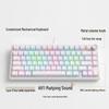OLOEY Compact 60% RGB Mechanical-Feel Gaming Keyboard