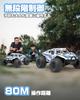 DEERC 4WD Remote Control Off-Road Car, Remote Control Toy, 114 Scale All-Terrain Car, 2.4GHz, 32-Minute Operation Time, Adjustable Steering, Low