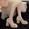 Zapatos – Zapatos