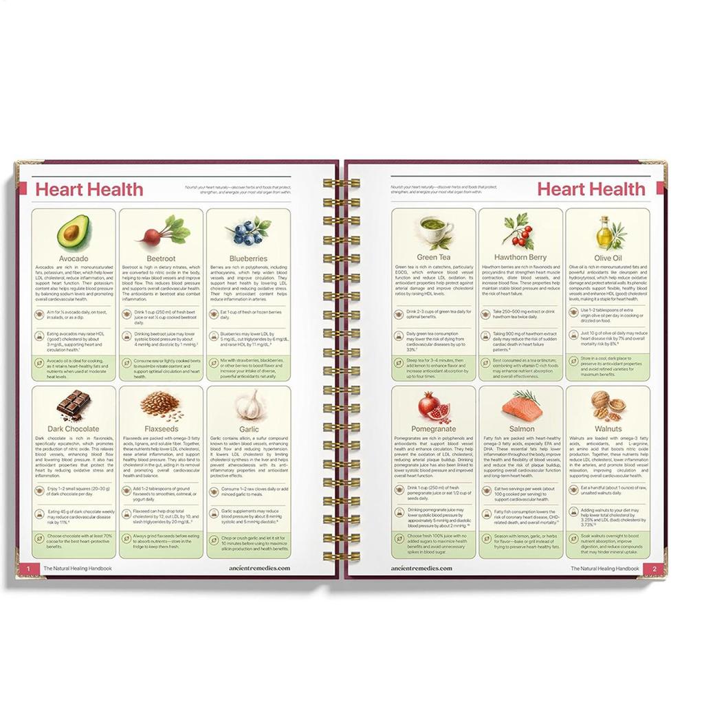 Human Health Guide Book Plant Theme Eating Recipe Spiral Binding Natural Book for Women Men Family Adult Elderly Chef Study