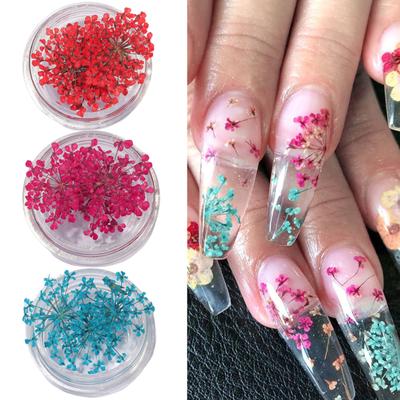 1 Scatola Decorazioni per Nail Art Aspetto Realistico Colore Vivace Naturale Non Sbiadisce Ampia Applicazione Decorativo Effetto 3D Floreale Secco Colorato Unghia